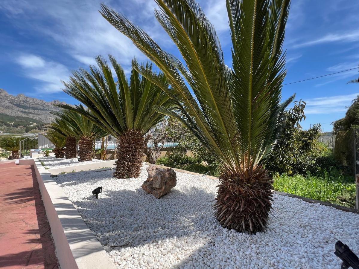 Casa Rural Altaret Callosa de Ensarriá Zewnętrze zdjęcie
