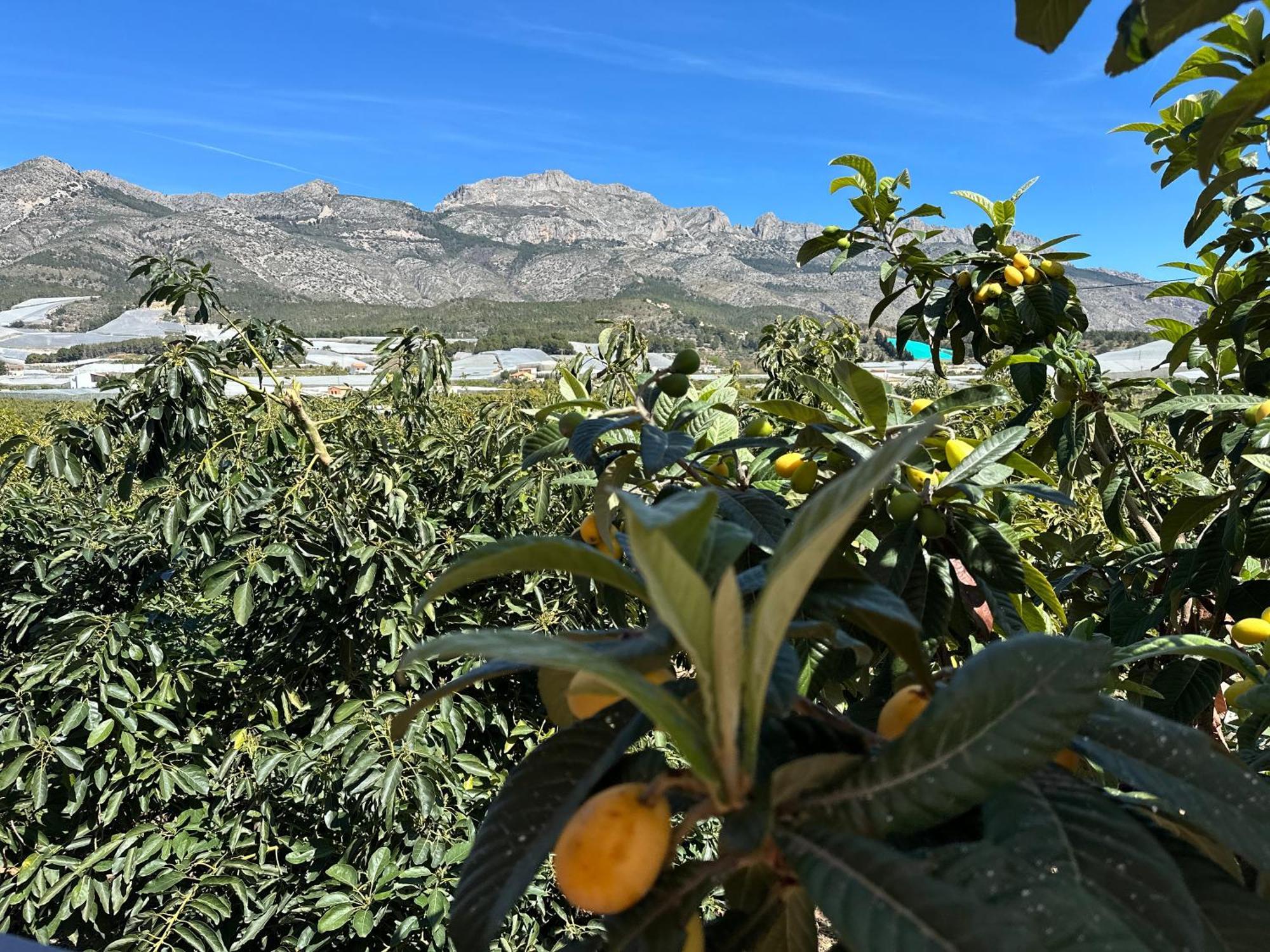 Casa Rural Altaret Callosa de Ensarriá Zewnętrze zdjęcie